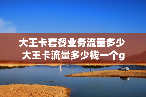 大王卡套餐业务流量多少 大王卡流量多少钱一个g