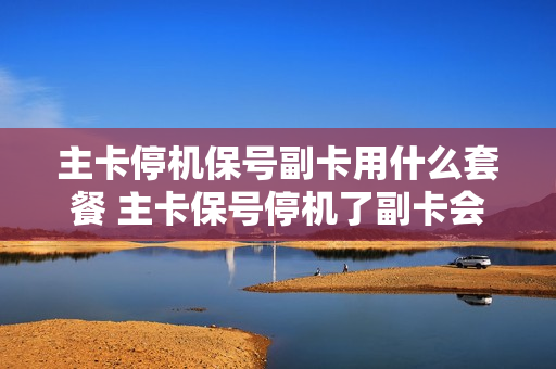 主卡停机保号副卡用什么套餐 主卡保号停机了副卡会怎么样