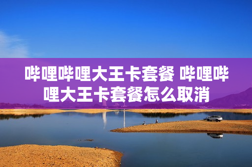 哔哩哔哩大王卡套餐 哔哩哔哩大王卡套餐怎么取消