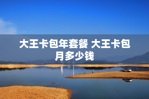 大王卡包年套餐 大王卡包月多少钱