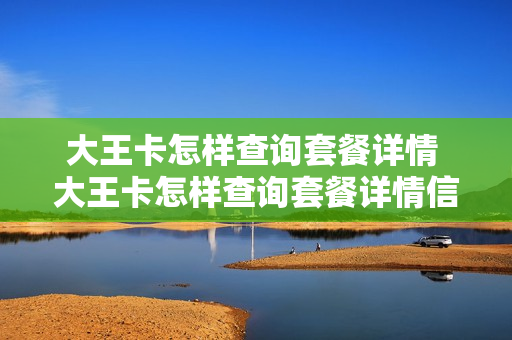 大王卡怎样查询套餐详情 大王卡怎样查询套餐详情信息