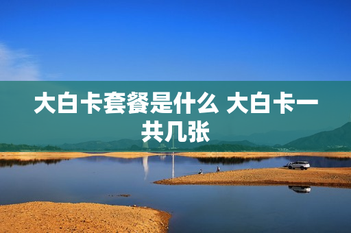 大白卡套餐是什么 大白卡一共几张