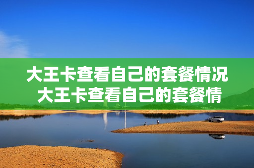 大王卡查看自己的套餐情况 大王卡查看自己的套餐情况可以吗