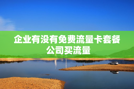 企业有没有免费流量卡套餐 公司买流量