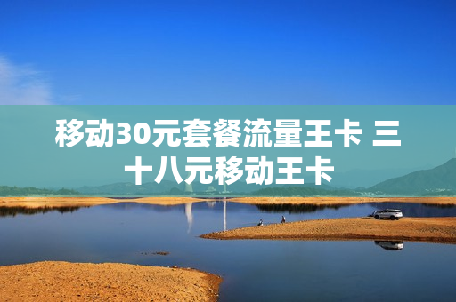 移动30元套餐流量王卡 三十八元移动王卡