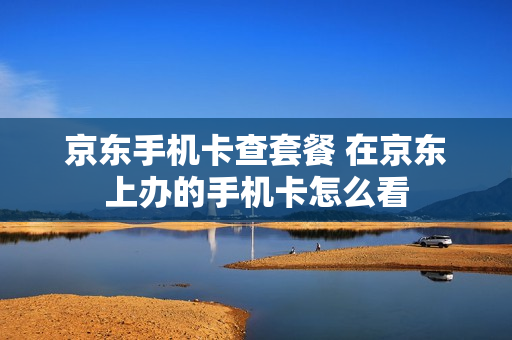 京东手机卡查套餐 在京东上办的手机卡怎么看