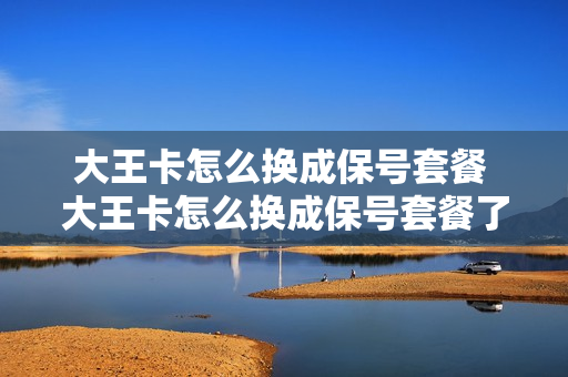 大王卡怎么换成保号套餐 大王卡怎么换成保号套餐了