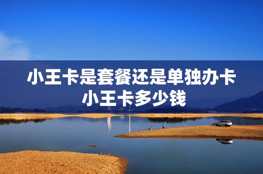 小王卡是套餐还是单独办卡 小王卡多少钱