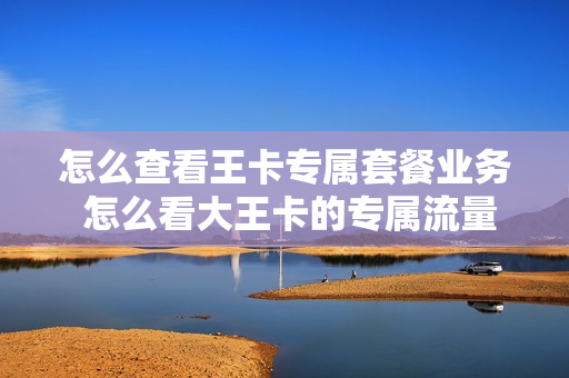 怎么查看王卡专属套餐业务 怎么看大王卡的专属流量