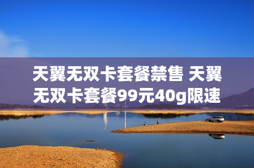 天翼无双卡套餐禁售 天翼无双卡套餐99元40g限速