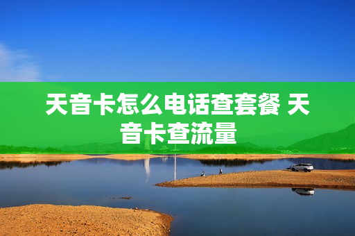 天音卡怎么电话查套餐 天音卡查流量