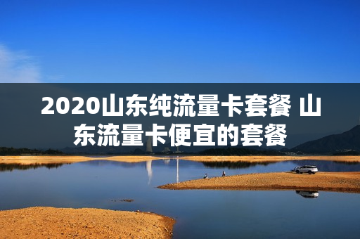 2020山东纯流量卡套餐 山东流量卡便宜的套餐