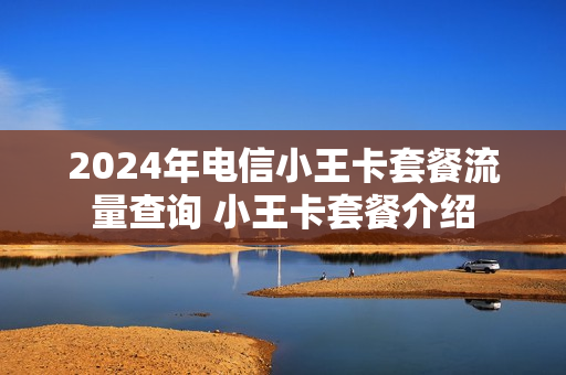 2024年电信小王卡套餐流量查询 小王卡套餐介绍