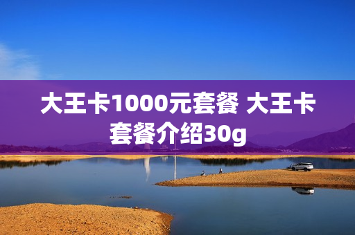 大王卡1000元套餐 大王卡套餐介绍30g