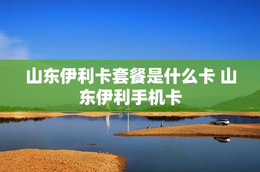山东伊利卡套餐是什么卡 山东伊利手机卡