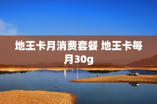 地王卡月消费套餐 地王卡每月30g