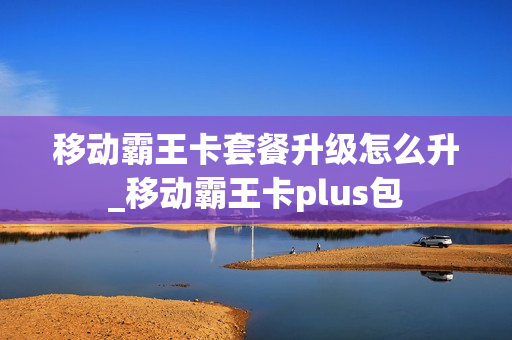 移动霸王卡套餐升级怎么升_移动霸王卡plus包