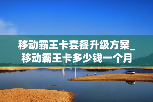 移动霸王卡套餐升级方案_移动霸王卡多少钱一个月