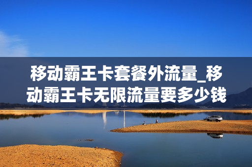 移动霸王卡套餐外流量_移动霸王卡无限流量要多少钱