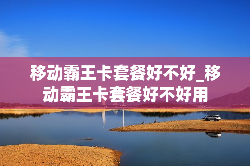 移动霸王卡套餐好不好_移动霸王卡套餐好不好用