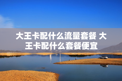 大王卡配什么流量套餐 大王卡配什么套餐便宜