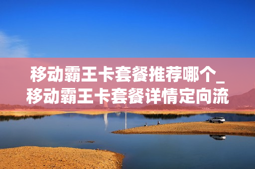 移动霸王卡套餐推荐哪个_移动霸王卡套餐详情定向流量