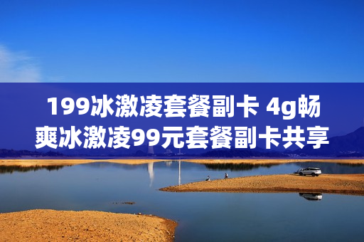 199冰激凌套餐副卡 4g畅爽冰激凌99元套餐副卡共享套餐