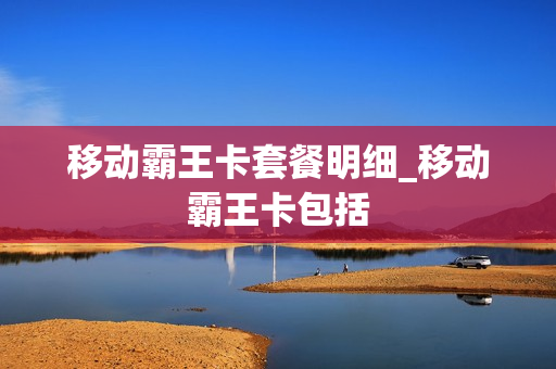 移动霸王卡套餐明细_移动霸王卡包括