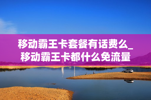 移动霸王卡套餐有话费么_移动霸王卡都什么免流量