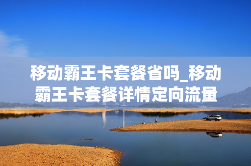 移动霸王卡套餐省吗_移动霸王卡套餐详情定向流量