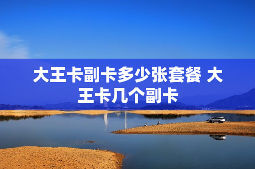 大王卡副卡多少张套餐 大王卡几个副卡