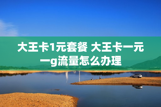 大王卡1元套餐 大王卡一元一g流量怎么办理