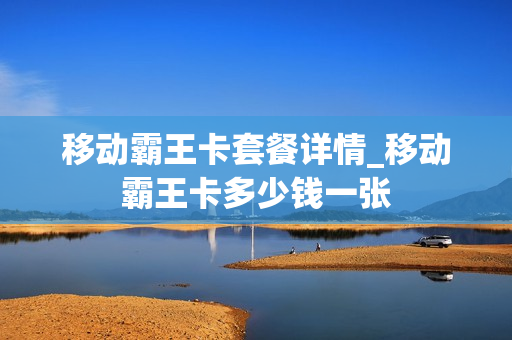移动霸王卡套餐详情_移动霸王卡多少钱一张