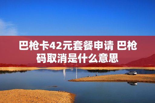 巴枪卡42元套餐申请 巴枪码取消是什么意思