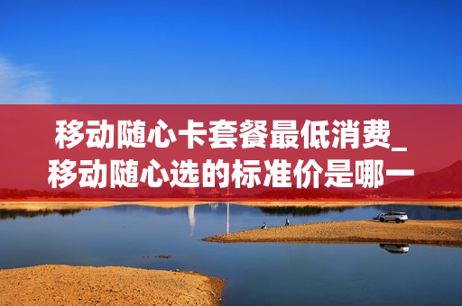 移动随心卡套餐最低消费_移动随心选的标准价是哪一个