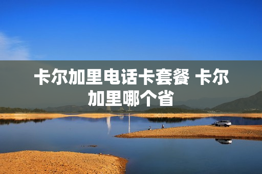 卡尔加里电话卡套餐 卡尔加里哪个省