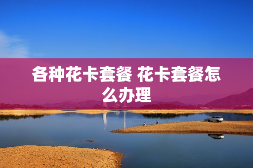 各种花卡套餐 花卡套餐怎么办理