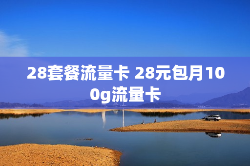 28套餐流量卡 28元包月100g流量卡