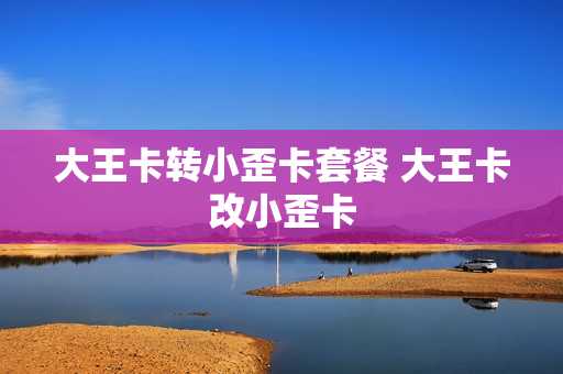 大王卡转小歪卡套餐 大王卡改小歪卡