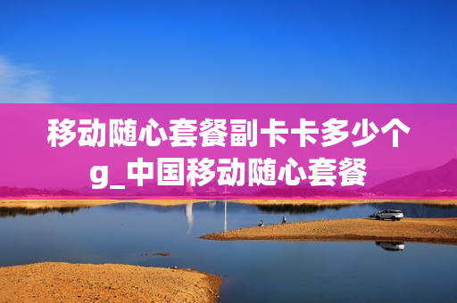 移动随心套餐副卡卡多少个g_中国移动随心套餐