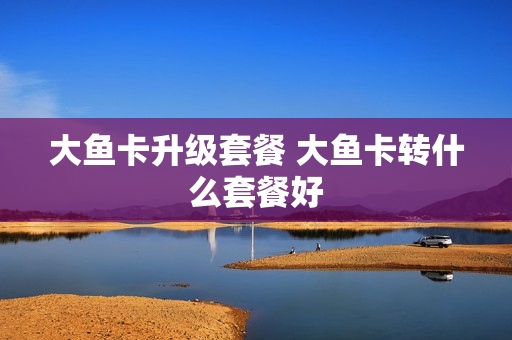 大鱼卡升级套餐 大鱼卡转什么套餐好
