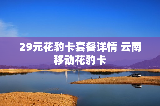 29元花豹卡套餐详情 云南移动花豹卡