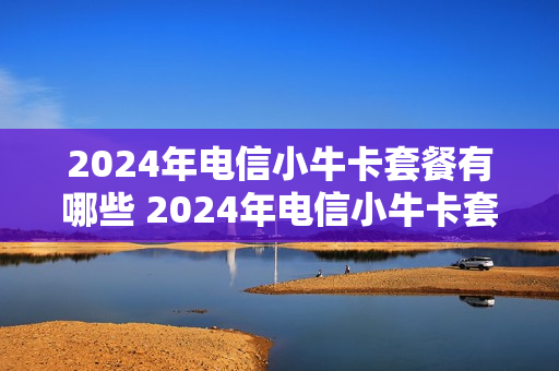 2024年电信小牛卡套餐有哪些 2024年电信小牛卡套餐有哪些服务