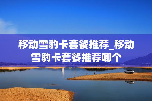 移动雪豹卡套餐推荐_移动雪豹卡套餐推荐哪个