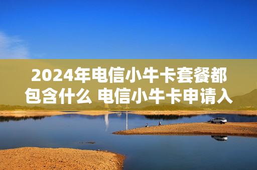 2024年电信小牛卡套餐都包含什么 电信小牛卡申请入口