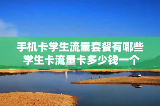 手机卡学生流量套餐有哪些 学生卡流量卡多少钱一个月