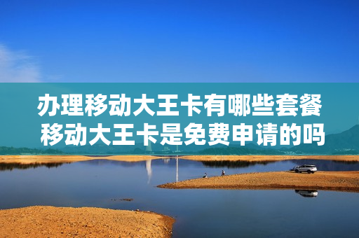 办理移动大王卡有哪些套餐 移动大王卡是免费申请的吗