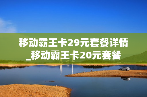 移动霸王卡29元套餐详情_移动霸王卡20元套餐