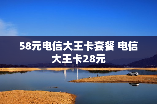 58元电信大王卡套餐 电信大王卡28元