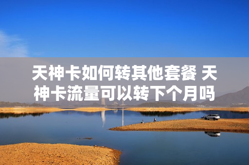 天神卡如何转其他套餐 天神卡流量可以转下个月吗